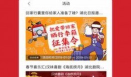湖北新闻网爆料,揭秘重大事件背后真相